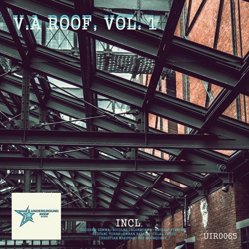 V.a. Roof Vol 1 (2022)