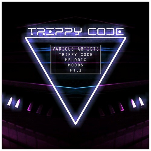 Trippy Code Melodic Moods Pt 1 (2022)