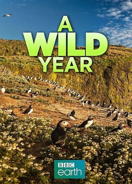 Безумный год в дикой природе / A Wild Year (2020/HDTVRip 720p)