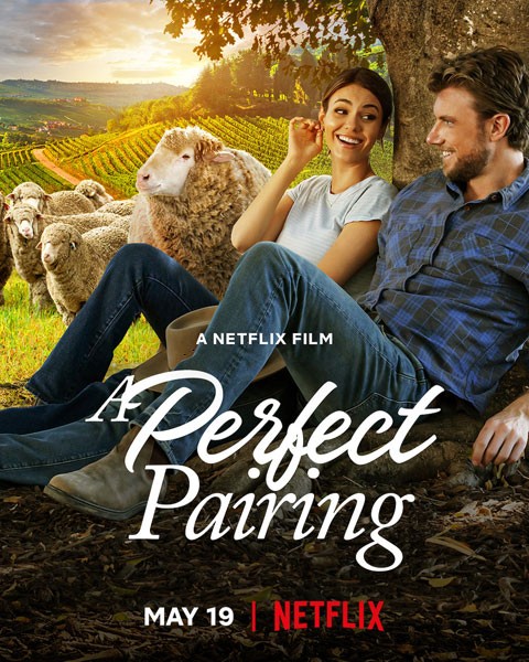 Идеальное сочетание / A Perfect Pairing (2022/WEB-DL/WEB-DLRip)