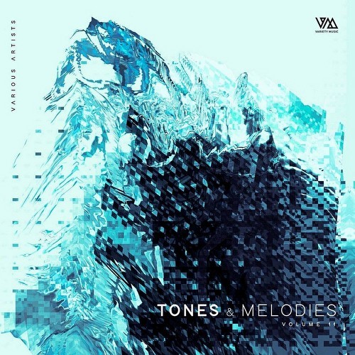 Tones & Melodies Vol 11 (2022)