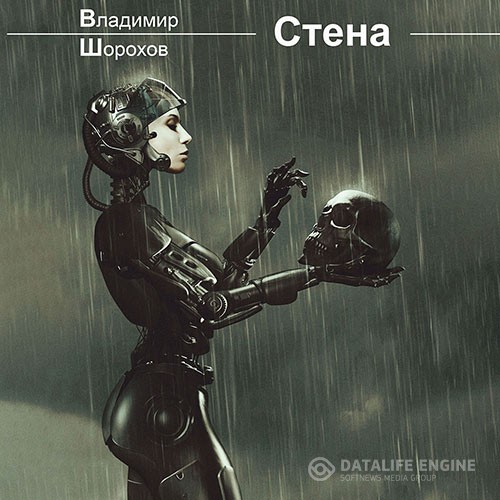 Шорохов Владимир - Стена (Аудиокнига)