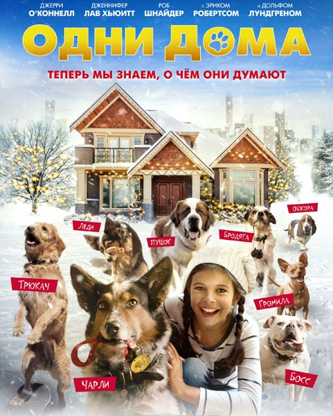 Одни дома / Pups Alone (2021/WEB-DL/WEB-DLRip)