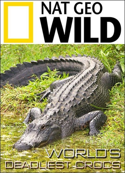 Самые опасные крокодилы мира / World's Deadliest Crocs (2019/HDTVRip)