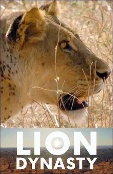 Львиная династия / Lion Dynasty (2021/HDTVRip)