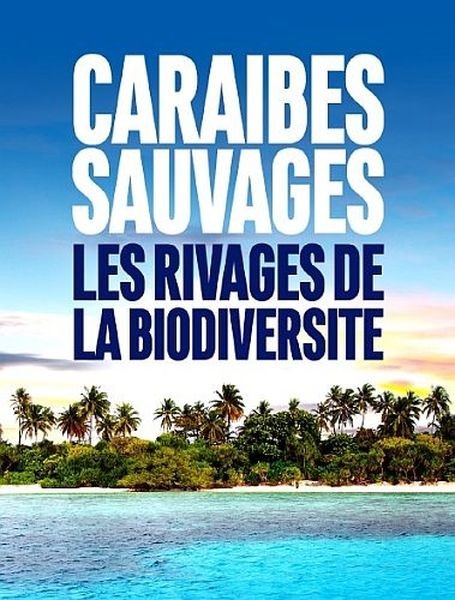 Дикие Карибы - берега разнообразия / Caraïbes sauvages, les rivages de la biodiversité (2018/UHDTV 2160p)