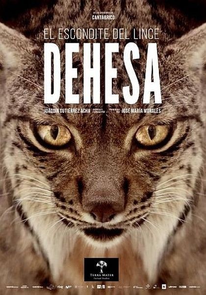Дехеса: лес пиренейской рыси / Dehesa – Forest of the Iberian Lynx (2020/DVB)