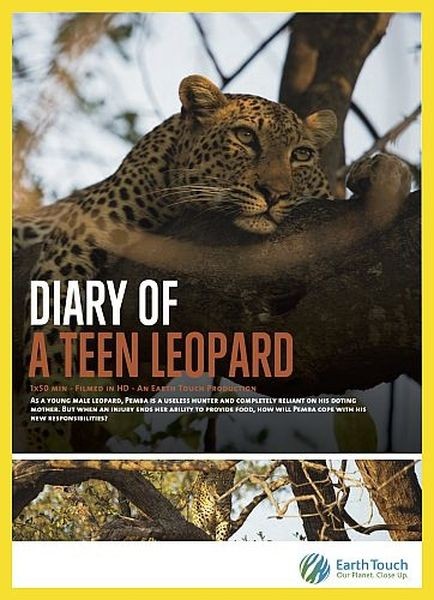 Дневник юного леопарда / Diary of A Teen Leopard (2020/HDTVRip 720p)