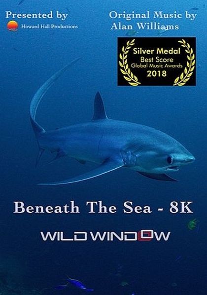 Окно дикой природы - Взгляд в глубину / Wild Window: Beneath the Sea (2018/UHDTV 2160p)