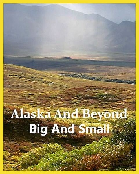 Фауна Аляски: От мала до велика / Alaska And Beyond: Big And Small (2022/HDTVRip 720p)