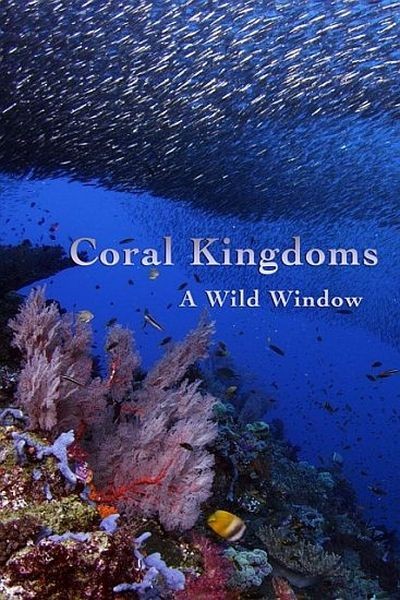 Окно дикой природы - Королевство кораллов / Wild Window: Coral Kingdoms (2017/UHDTV 2160p)