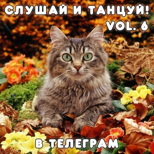 Слушай и Танцуй! vol.6 (2022)