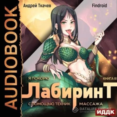 Ткачёв Андрей, Findroid - Я покорю Лабиринт с помощью техник массажа. Книга 3 (Аудиокнига)
