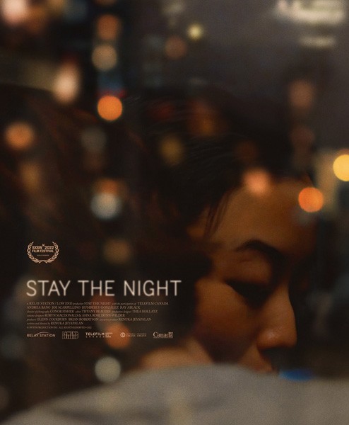 Роман на одну ночь / Stay the Night (2022/WEB-DL/WEB-DLRip)