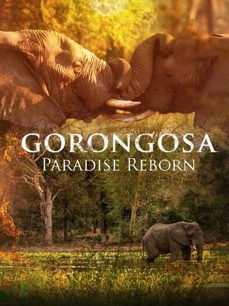 Возрождение рая в Горонгосе / Gorongosa: Paradise Reborn (2022/WEBRip 720p)