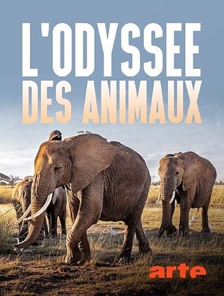 Одиссея животных / Lodyssee des animaux / Animal Odyssey (2022/HDTVRip 720p)