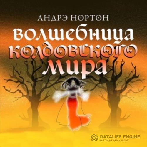 Нортон Андрэ - Волшебница Колдовского мира (Аудиокнига)