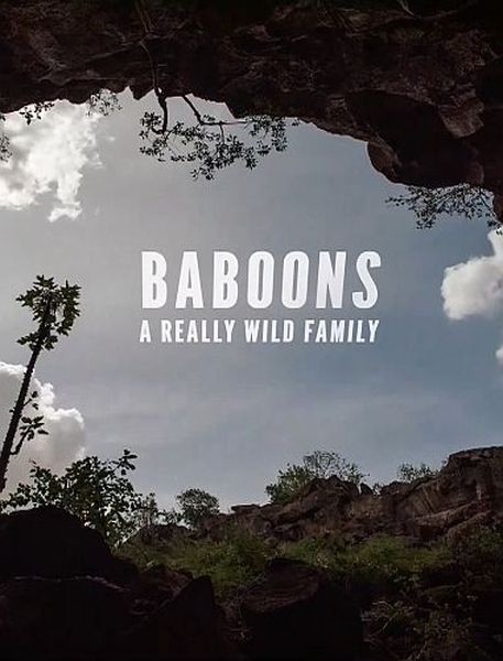 Дикая семейка бабуинов / Baboons: A Really Wild Family (2021/HDTVRip 720p)