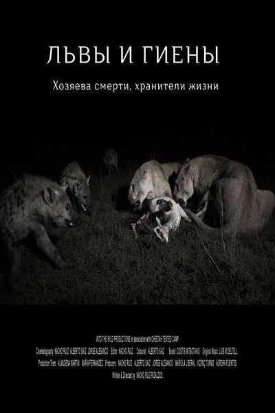 Львы и гиены: хозяева смерти, хранители жизни / Lions and Hyenas: Owners of Death, Guardians of Life (2020/HDTVRip 720p)