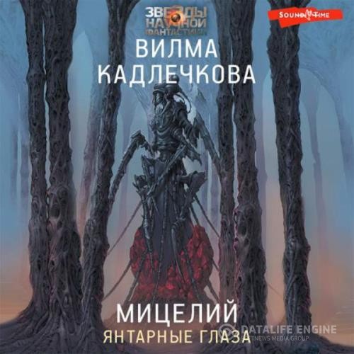 Кадлечкова Вилма - Янтарные глаза (Аудиокнига)