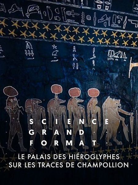 Дворец с иероглифами. По следам Шампольона / Le palais des hiéroglyphes - Sur les traces de Champollion (2022/HDTVRip 720p)