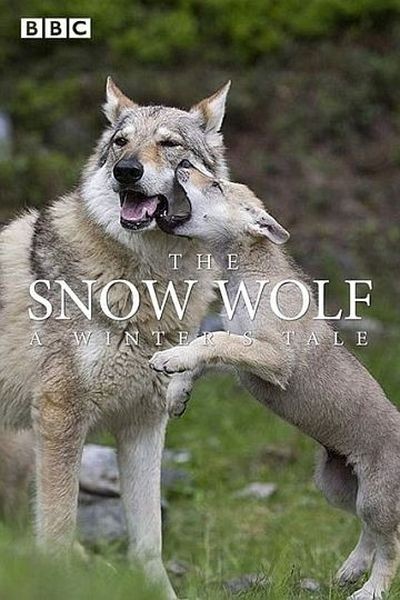 Снежный волк. Зимняя сказка / The Snow Wolf: A Winter's Tale (2018/DVB)