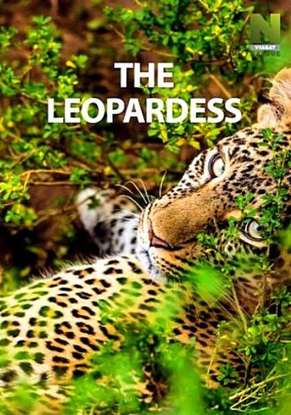 Королева леопардов / The Leopardess (2020/HDTVRip)