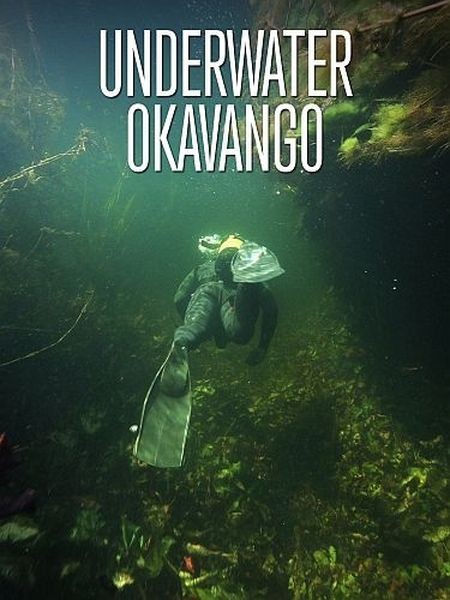 Подводный мир Окаванго / Underwater Okavango (2012/HDTVRip 720p)