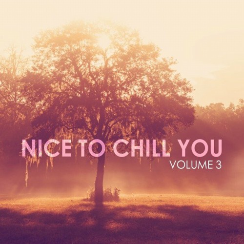 Nice to Chill You, Vol. 3 (2023)