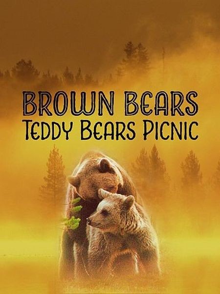 Бурые медведи: пикник в дикой природе / Brown Bears - Teddy Bears Picnic (2020/HDTVRip 720p)