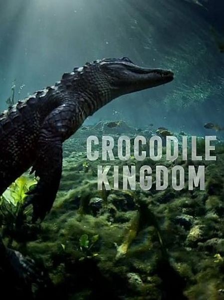 Царство крокодилов / Crocodile Kingdom (2020/HDTVRip 720p)