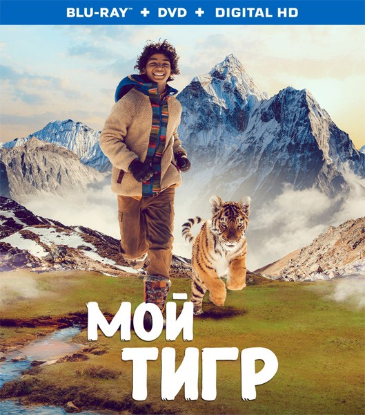 Мой тигр / Il ragazzo e la tigre (2022/BDRip/HDRip)