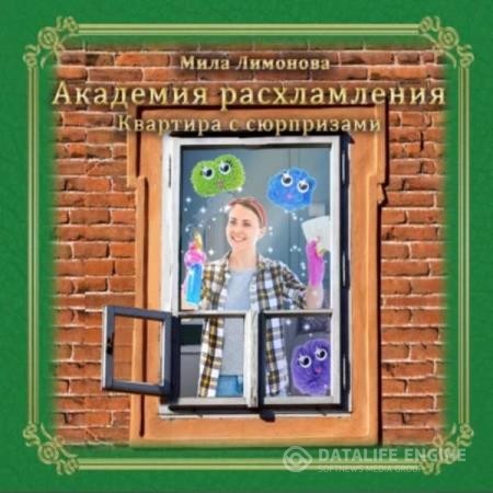Лимонова Мила - Академия расхламления. Квартира с сюрпризами (Аудиокнига)