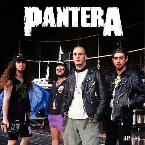 Pantera - Collection (2023) MP3 / FLAC