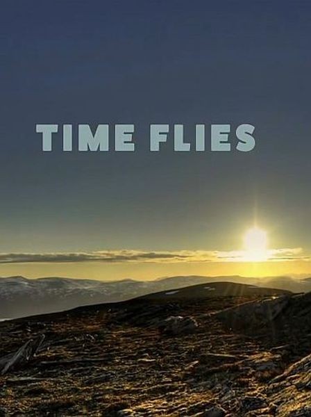 Течение времени / Time Flies (2020/HDTVRip)