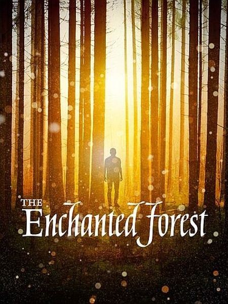 Зачарованный лес / Enchanted Forest (2020/HDTVRip)