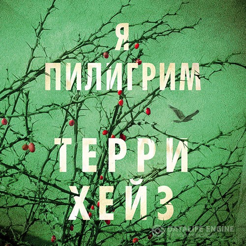 Хейз Терри - Я Пилигрим (Аудиокнига)