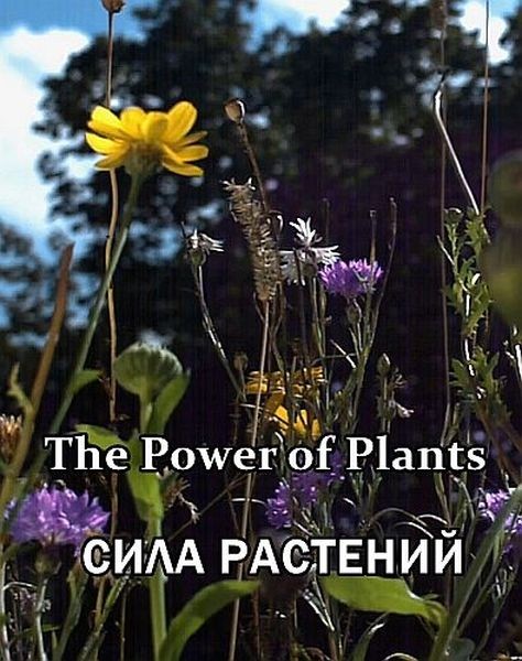 Сила растений / The Power of Plants (2021/HDTV 1080i)