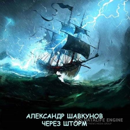 Шавкунов Александр - Бастард. Через шторм (Аудиокнига)