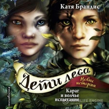 Брандис Катя - Караг и волчье испытание (Аудиокнига)