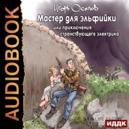 Осипов Игорь - Мастер для эльфийки, или приключения странствующего электрика (Аудиокнига)