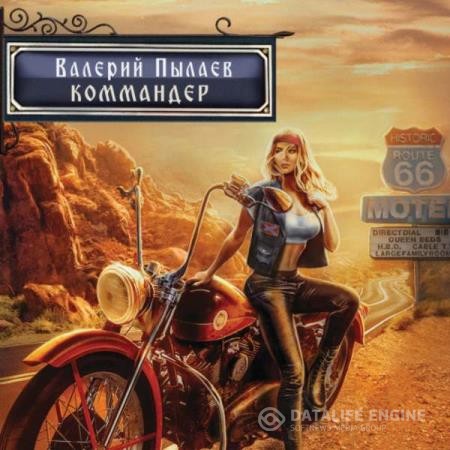 Пылаев Валерий - Горчаков. Коммандер (Аудиокнига)