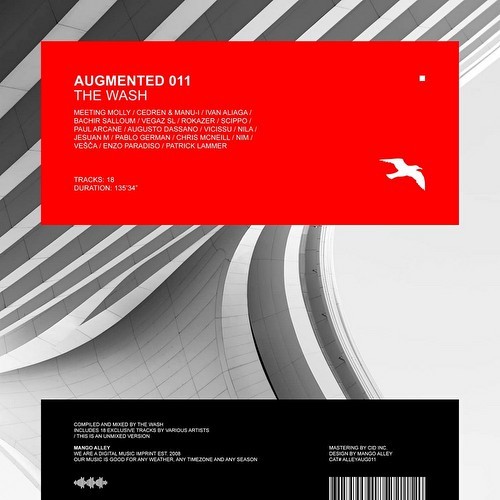 Augmented 011 / The Wash (2023)