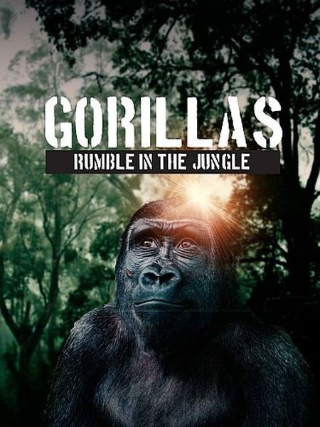 Гориллы: разборки в джунглях / Gorilla. Rumble in the Jungle (2020/HDTVRip 720p)