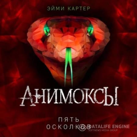 Картер Эйми - Пять Осколков (Аудиокнига)