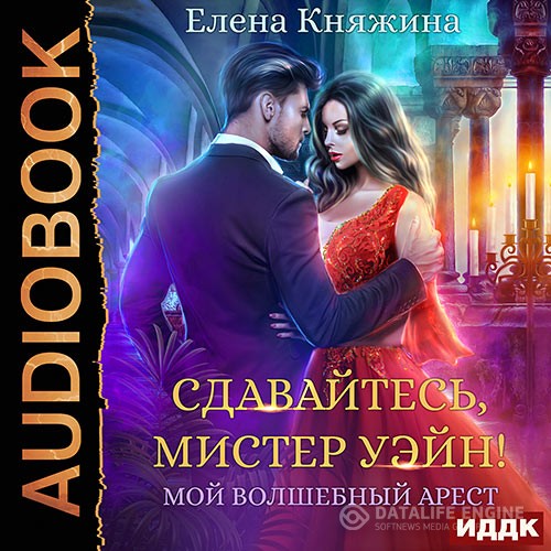 Княжина Екатерина - Сдавайтесь, мистер Уэйн! или Мой волшебный арест (Аудиокнига)