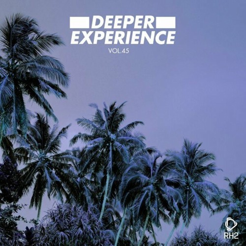 Deeper Experience, Vol. 45 (2023)