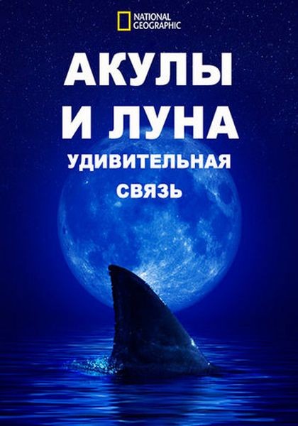 Акулы и Луна - удивительная связь / Shark Side of the Moon (2022/WEB-DL 1080p)