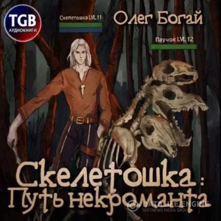 Богай Олег - Скелетошка: Путь некроманта (Аудиокнига)