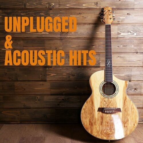 Unplugged & Acoustic Hits (2023)